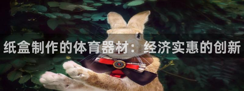 耀世平台拿什么输入账号密码：纸盒制作的体育器材：经济