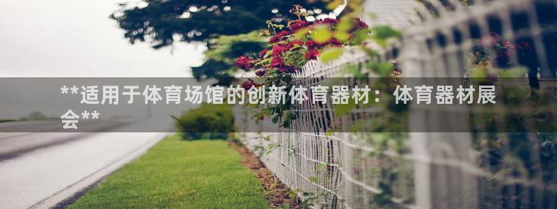 耀世首开什么意思：**适用于体育场馆的创新体育器材：