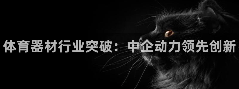 耀世娱乐官网注册账号：体育器材行业突破：中企动力领先