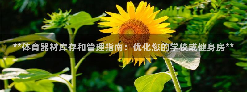 耀世娱乐代理什么待遇：**体育器材库存和管理指南：优