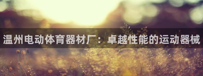 耀世国际平台正规吗可信吗安全吗：温州电动体育器材厂：