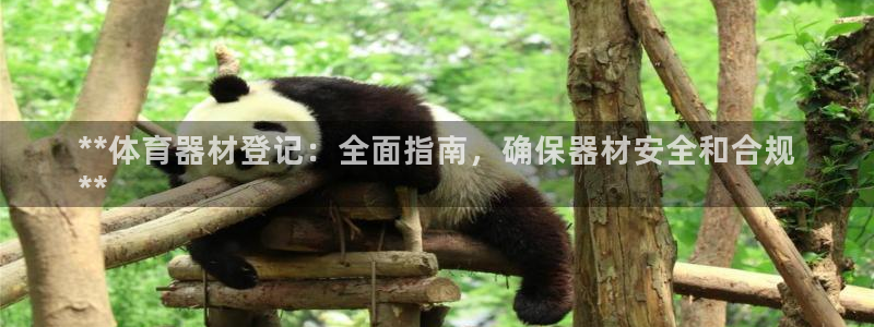 耀世娱乐官方网站下载：**体育器材登记：全面指南，确