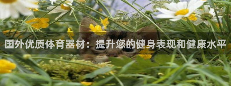 耀世集团商业联盟罗文斌主任：国外优质体育器材：提升您