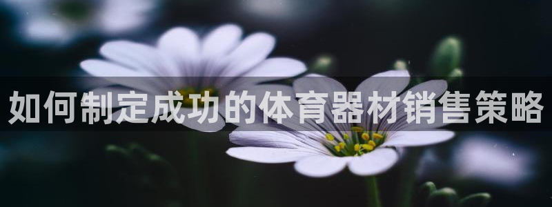 耀世登场：如何制定成功的体育器材销售策略