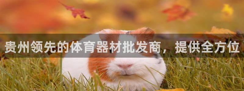 耀世捷科技：贵州领先的体育器材批发商，提供全方位