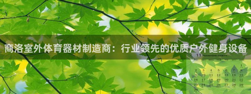 耀世娱乐软件下载安装：商洛室外体育器材制造商：行业领