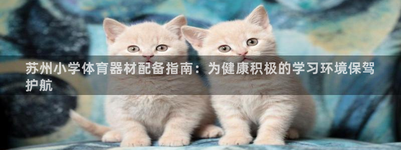 耀世集团董事长儿子：苏州小学体育器材配备指南：为健康