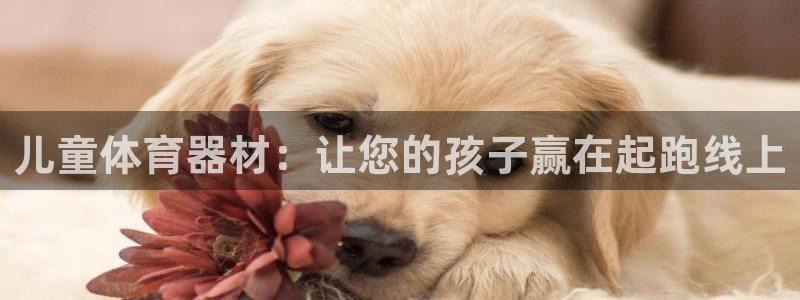 耀世娱乐含山：儿童体育器材：让您的孩子赢在起跑线上