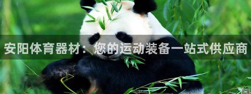 耀世娱乐注册入口官网：安阳体育器材：您的运动装备一站