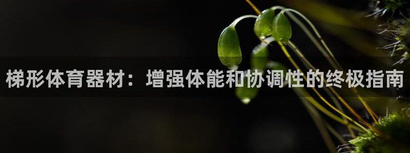 耀世天下和如日中天哪个好：梯形体育器材：增强体能和协