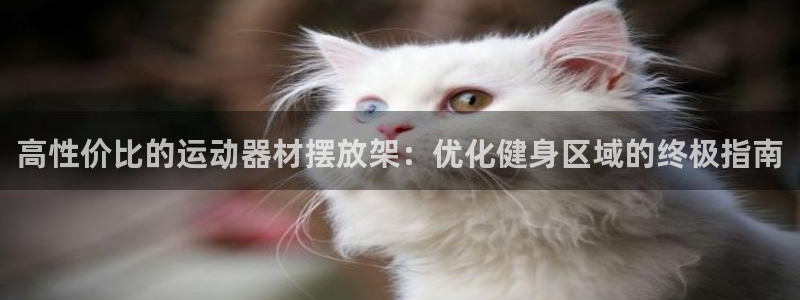 耀世国际集团是国企吗还是私企：高性价比的运动器材摆放