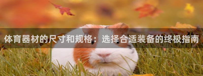 耀世娱乐赢咖APP：体育器材的尺寸和规格：选择合适装