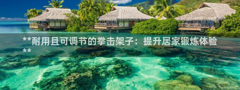 耀世第三关怎么过：**耐用且可调节的拳击架子：提升居