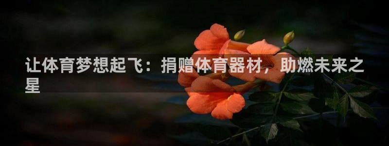 耀世平台注册最新地址：让体育梦想起飞：捐赠体育器材，