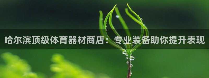 耀世娱乐如何登录账号：哈尔滨顶级体育器材商店：专业装