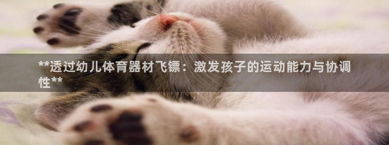 耀世集团董事长个人简历：**透过幼儿体育器材飞镖：激
