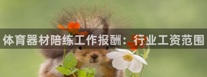 耀世而生：体育器材陪练工作报酬：行业工资范围