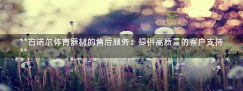 耀世娱乐是不是赚钱：**吉诺尔体育器材的售后服务：提