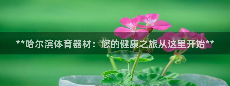 耀世天下网名好吗：**哈尔滨体育器材：您的健康之旅从
