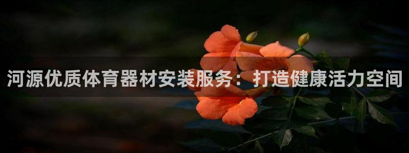 耀世娱乐提款多久到账户：河源优质体育器材安装服务：打
