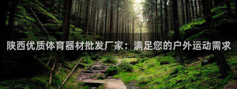 耀世和耀至的区别：陕西优质体育器材批发厂家：满足您的