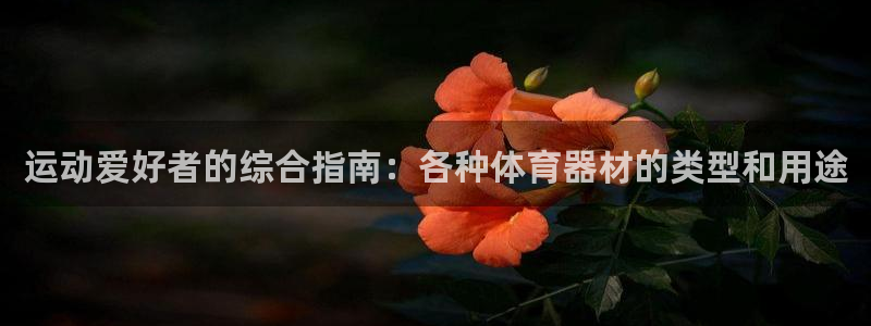 耀世平台六七五一38：运动爱好者的综合指南：各种体育
