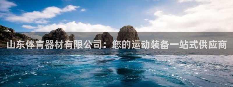 耀世平台的运营模式分析：山东体育器材有限公司：您的运