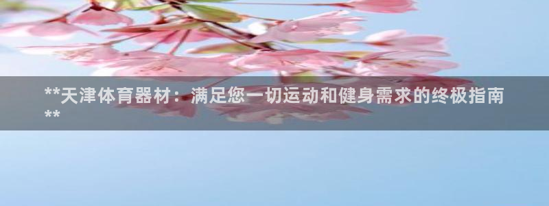 耀世第二关：**天津体育器材：满足您一切运动和健身需