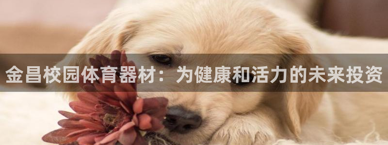 耀世娱乐是不是很黑呀：金昌校园体育器材：为健康和活力