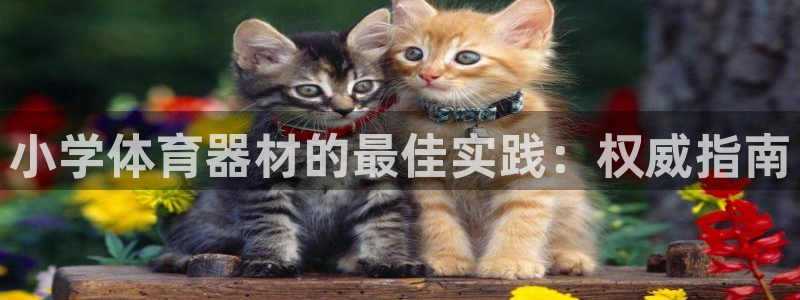 耀世平台嗯 5o69I7：小学体育器材的最佳实践：权