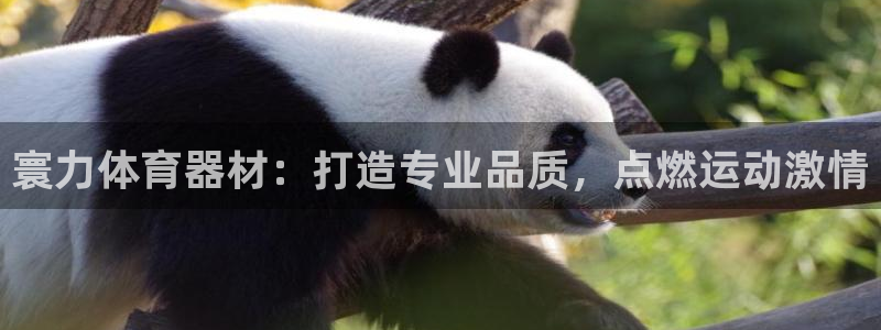 耀世娱乐可以玩吗：寰力体育器材：打造专业品质，点燃运