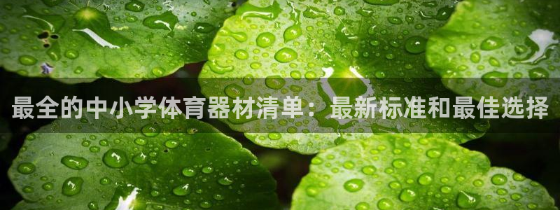 耀世天下是什么意思啊：最全的中小学体育器材清单：最新