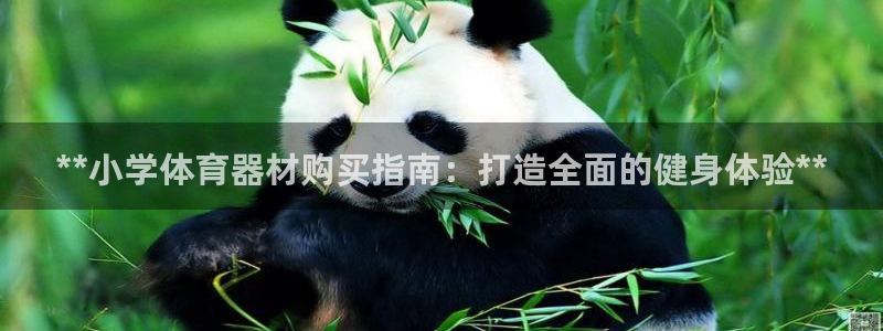 耀世集团是什么电影：**小学体育器材购买指南：打造全