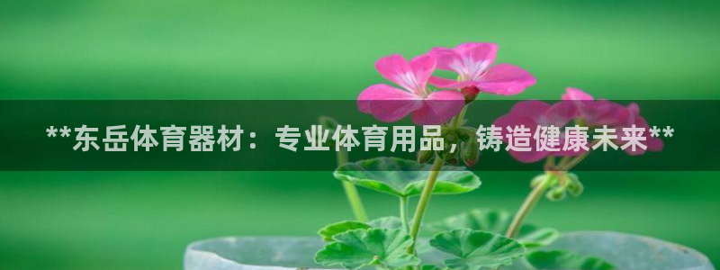 耀世娱乐平台官网登录不了：**东岳体育器材：专业体育