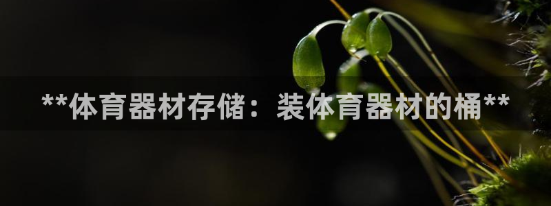 耀世平台日7O777：**体育器材存储：装体育器材的
