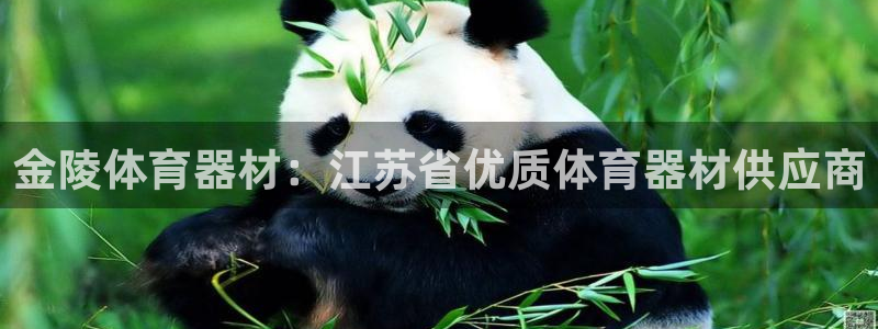 耀世微光曲谱：金陵体育器材：江苏省优质体育器材供应商