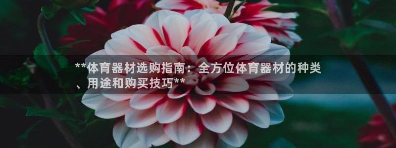 耀世平台告7O777：**体育器材选购指南：全方位体