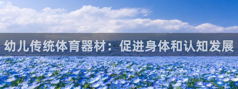耀世娱乐辅助软件下载：幼儿传统体育器材：促进身体和认
