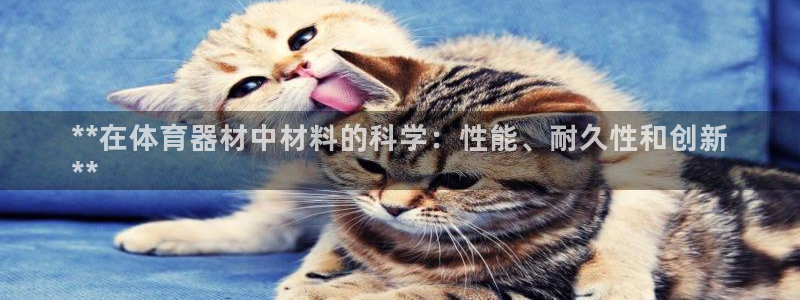 耀世平台是黑台子吗：**在体育器材中材料的科学：性能