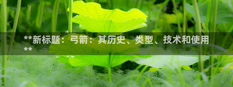 耀世平台李 411O31 耀世：**新标题：弓箭：其