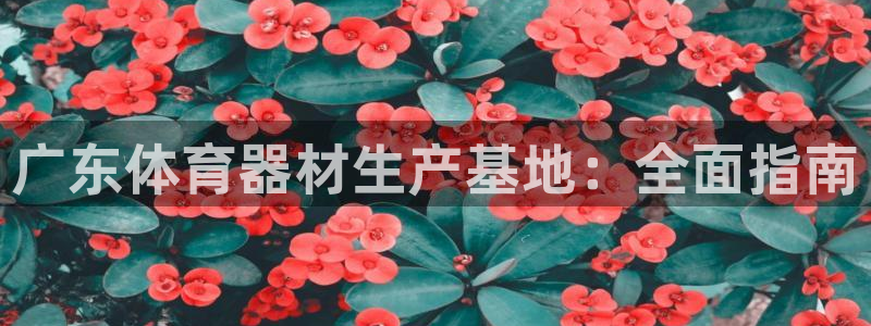 耀世平台注册流程视频：广东体育器材生产基地：全面指南