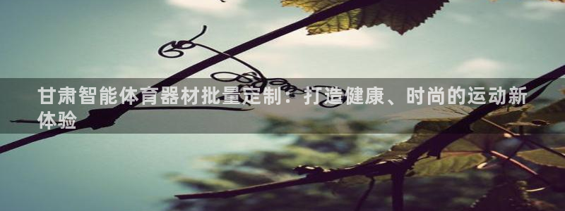 耀世平台登录地址是什么：甘肃智能体育器材批量定制：打