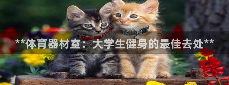 耀世的意思是什么：**体育器材室：大学生健身的最佳去