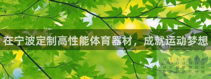 耀世娱乐辅助软件下载官网：在宁波定制高性能体育器材，