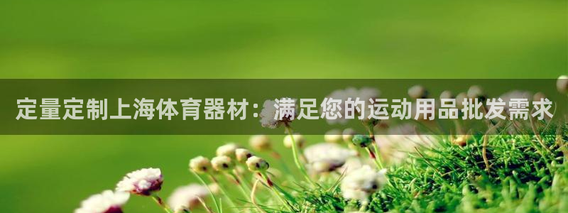 耀世国际平台正规吗可信吗知乎：定量定制上海体育器材：