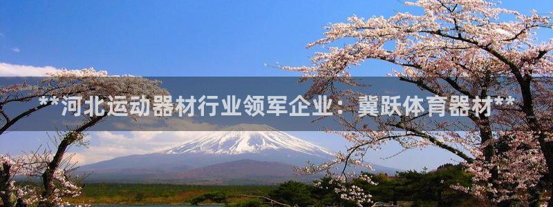 耀世盛典手游下载安装：**河北运动器材行业领军企业：