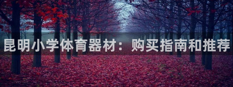 四川耀世发展集团：昆明小学体育器材：购买指南和推荐