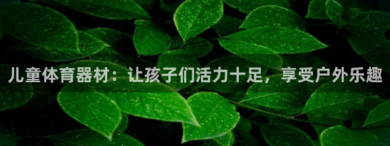 耀世集团四个字的图片：儿童体育器材：让孩子们活力十足