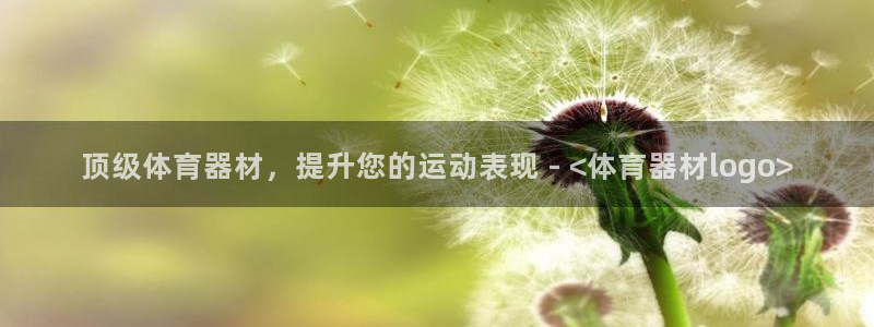 耀世娱乐登入：顶级体育器材，提升您的运动表现 - <