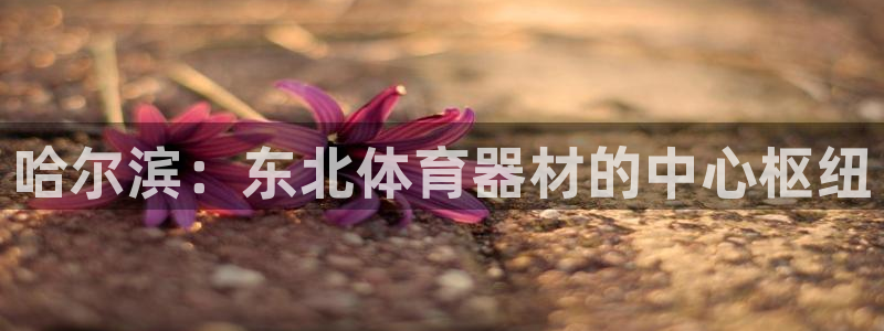 耀世集团王大聪简介：哈尔滨：东北体育器材的中心枢纽